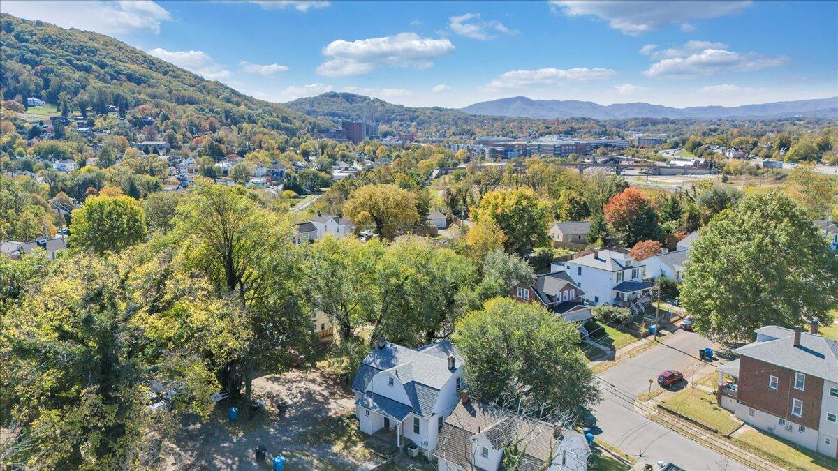 1008 5th Street Southeast Roanoke, VA 24013 - Photo 43 of 60 a view of a city