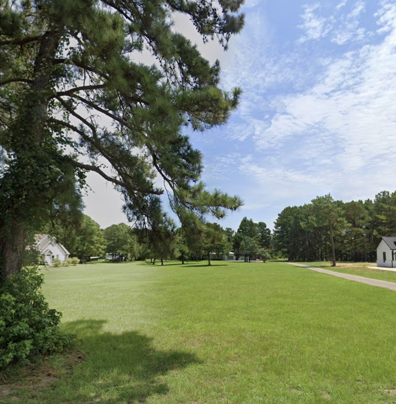 a view of a garden with a fountain