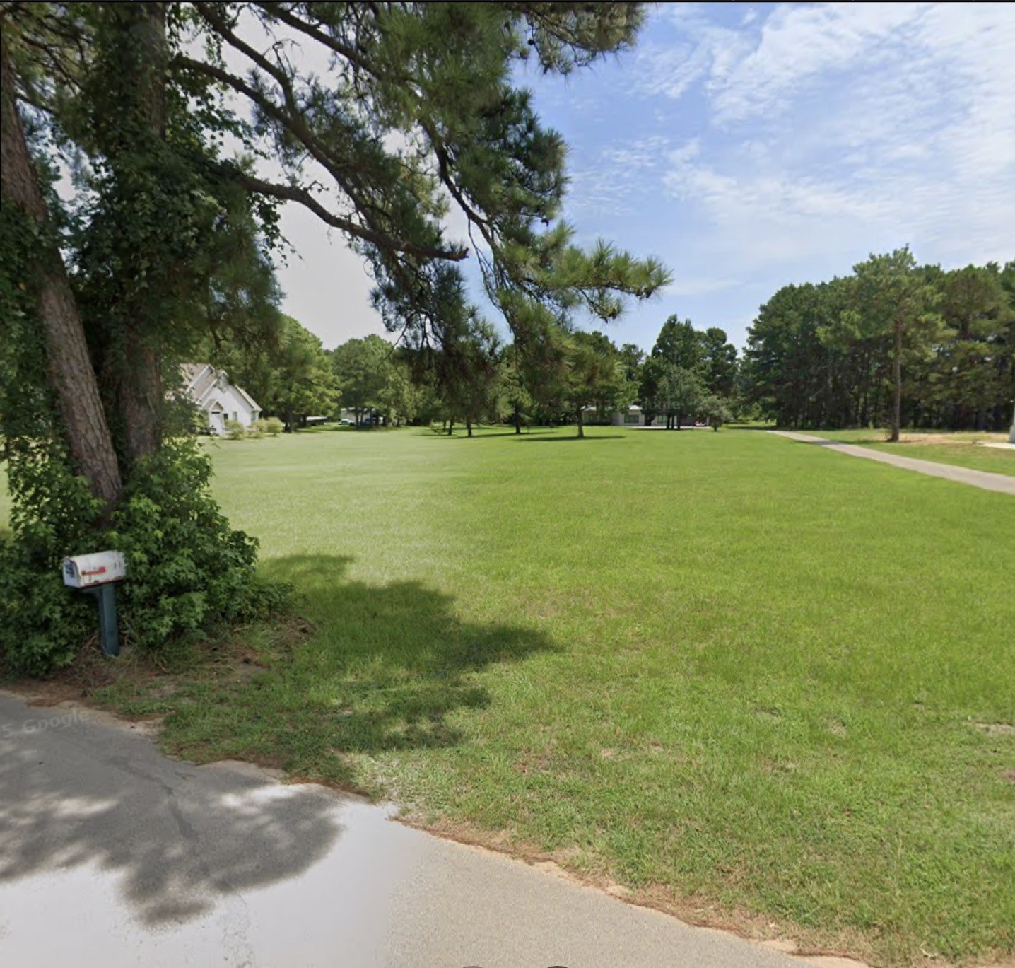 10055 Leonidas Horton Road Conroe, TX 77304 - Photo 2 of 6 a view of a field with an trees