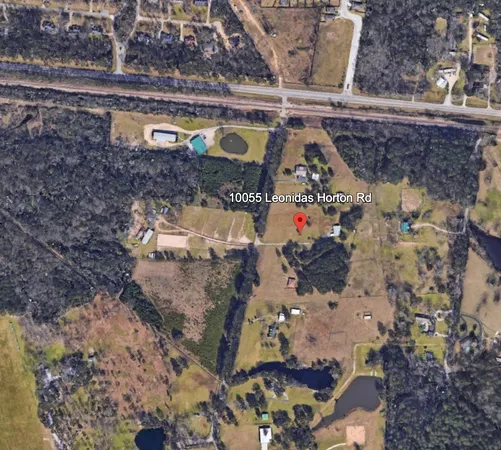 a view of a park with large trees