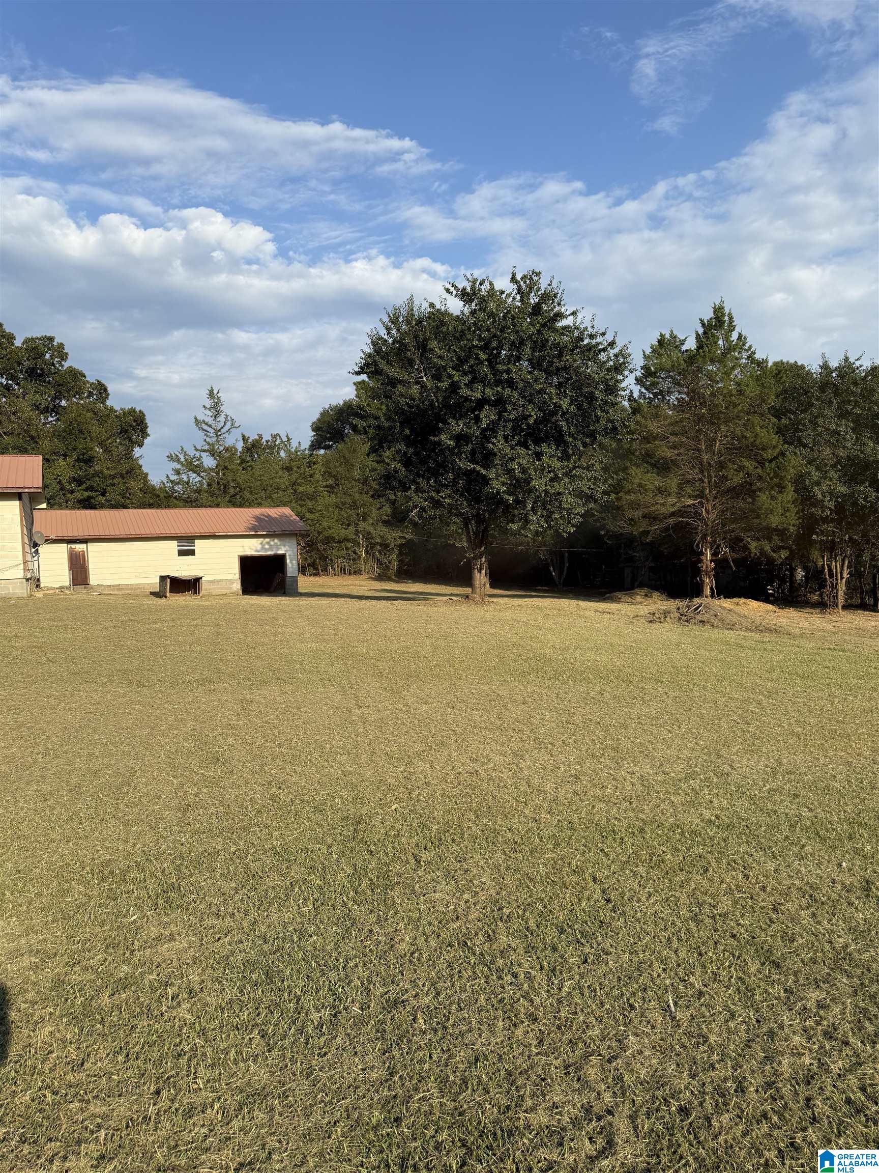 1401 Cobb Road Munford, AL 36268 - Photo 20 of 21