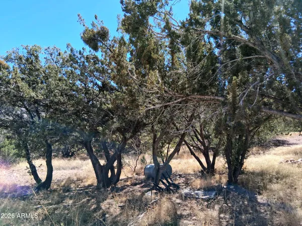 a view of houses with city view