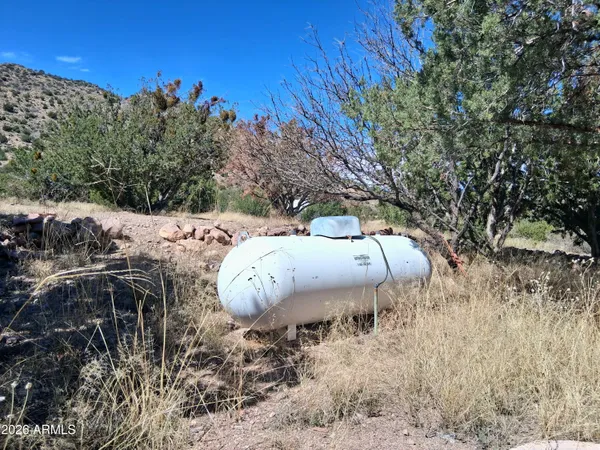 a view of a dry yard with large trees