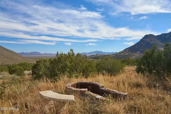 an aerial view of houses covered in trees