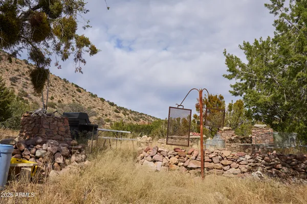 a view of a backyard