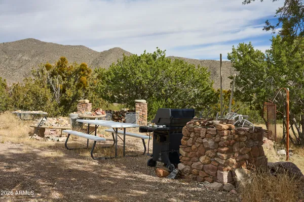 a view of a yard with a tree