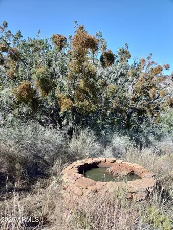 $1,350,000 | 1499 West Lone Rock Lane, San Simon, AZ 85632