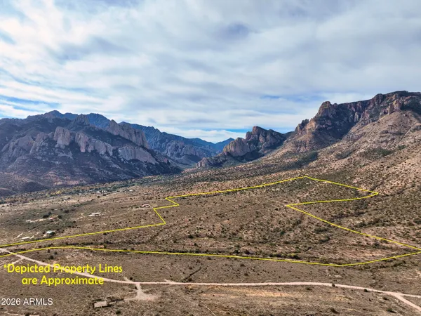 a view of a dry yard