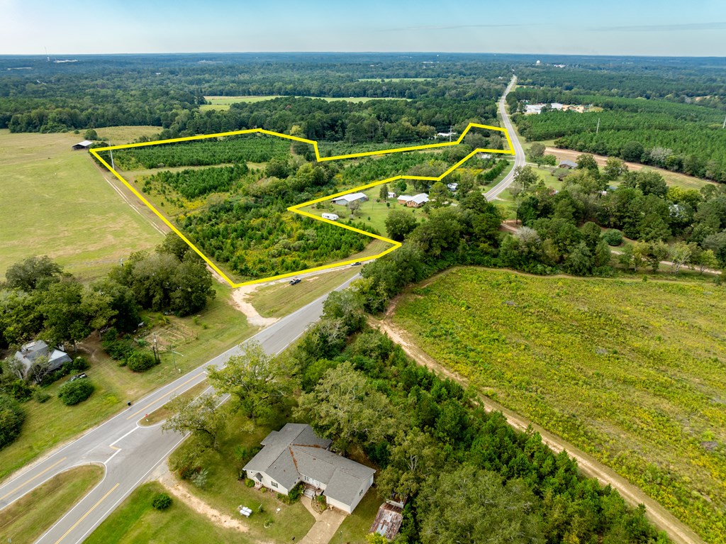 95 (columbia Rd) Road Abbeville, AL 36310 - Photo 17 of 41