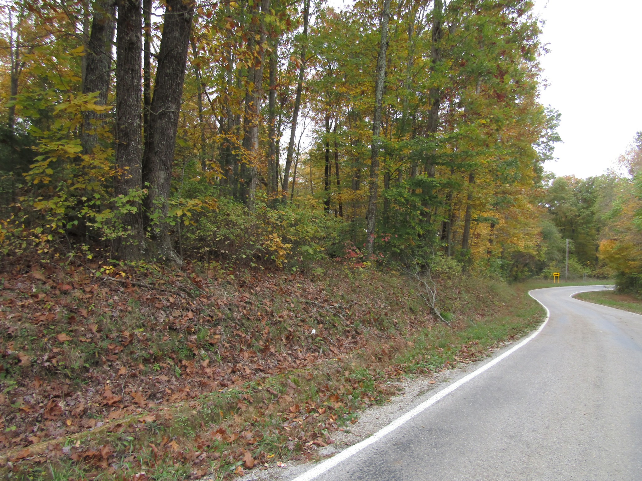 11 Turkey Town Road Hilham, TN 38568 - Photo 11 of 31 Gallery Image 11