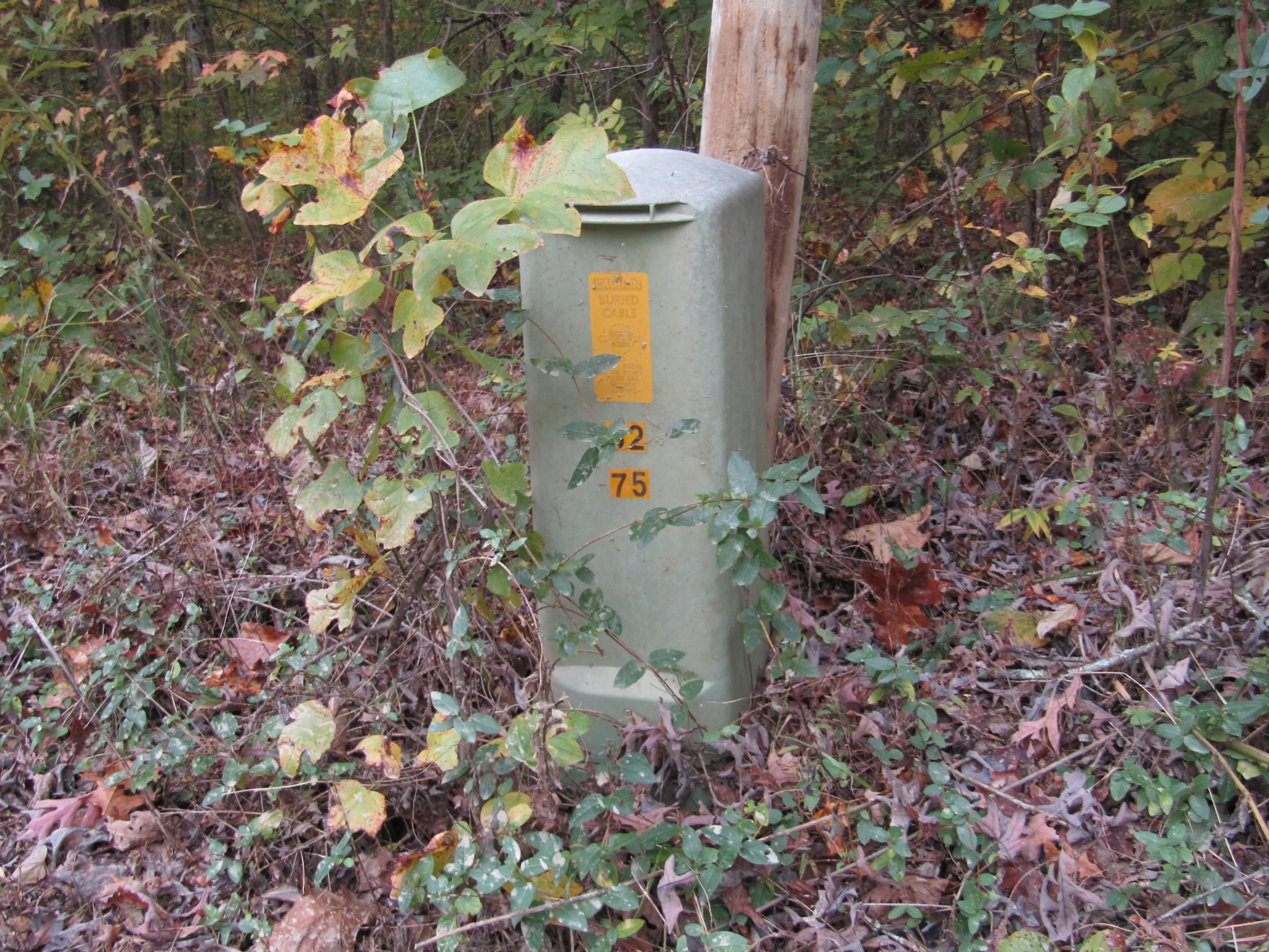 11 Turkey Town Road Hilham, TN 38568 - Photo 14 of 31 Gallery Image 14