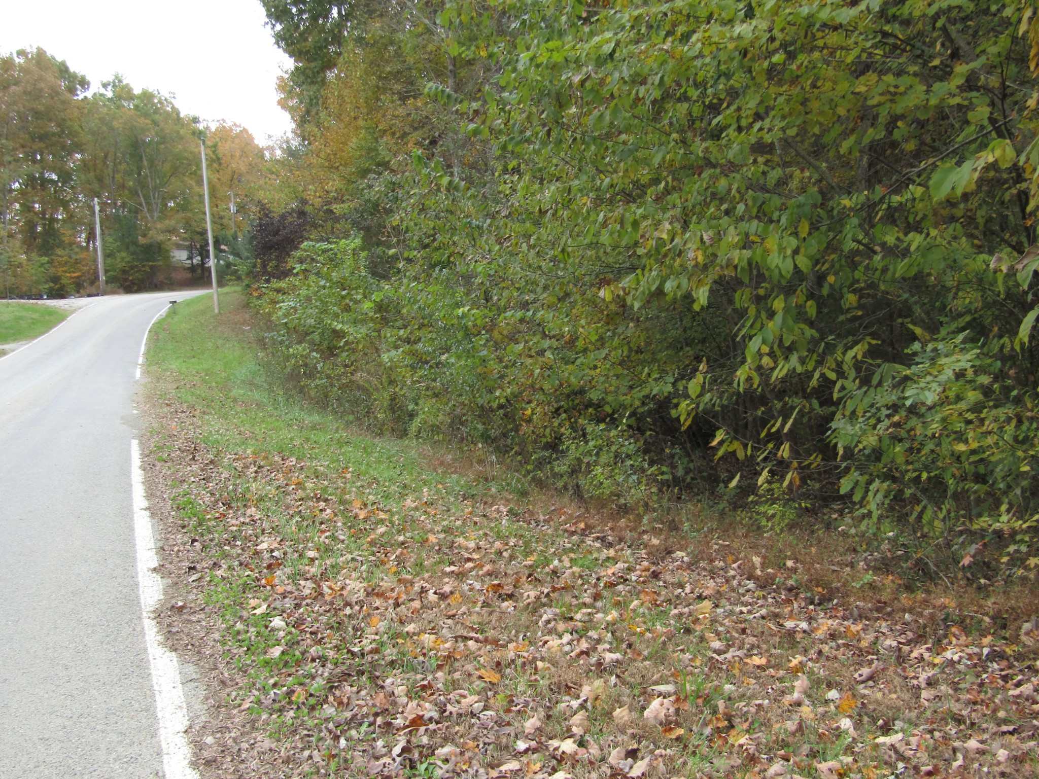 11 Turkey Town Road Hilham, TN 38568 - Photo 20 of 31 Gallery Image 20