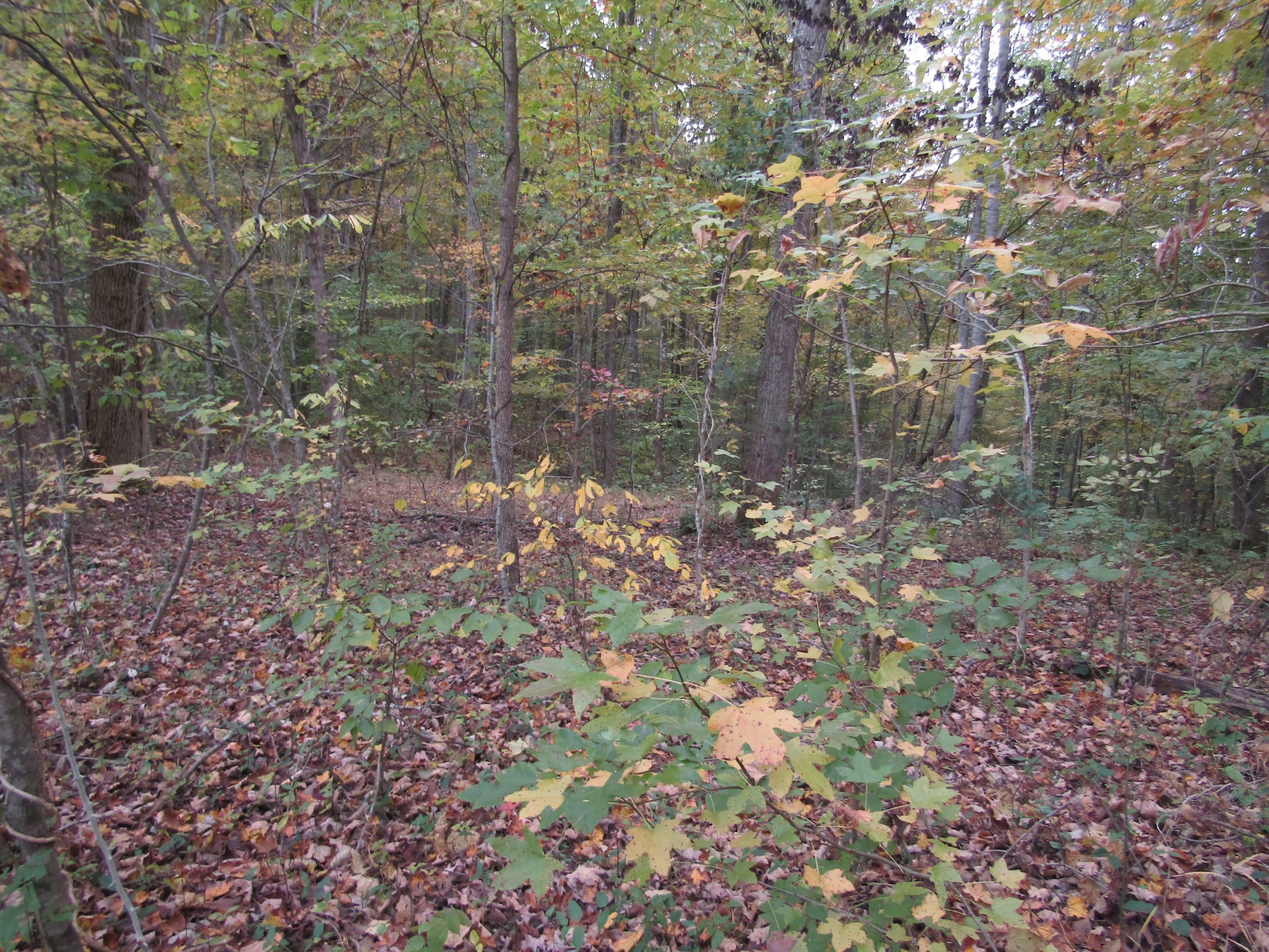 11 Turkey Town Road Hilham, TN 38568 - Photo 22 of 31 Gallery Image 22