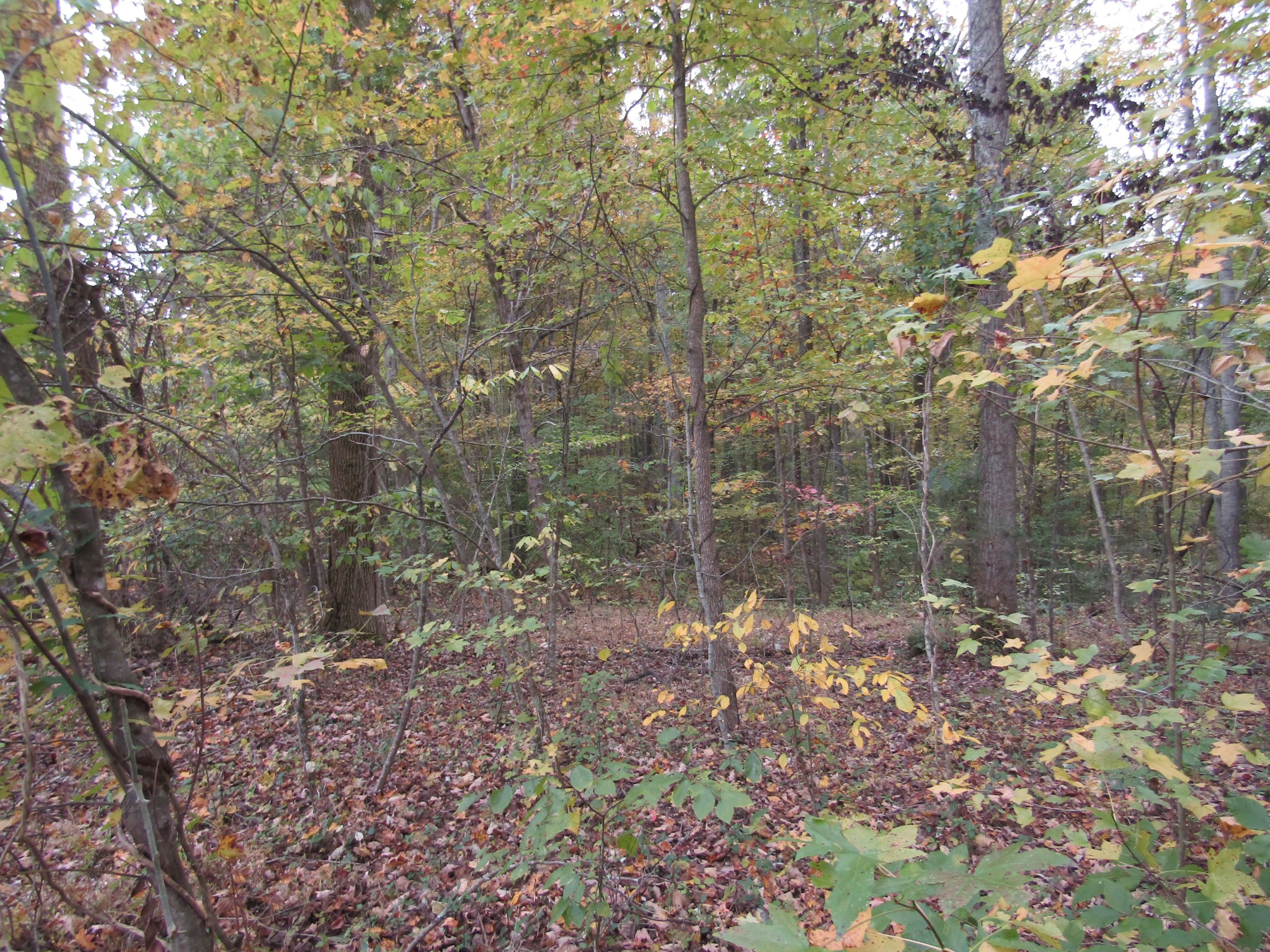 11 Turkey Town Road Hilham, TN 38568 - Photo 24 of 31 Gallery Image 24