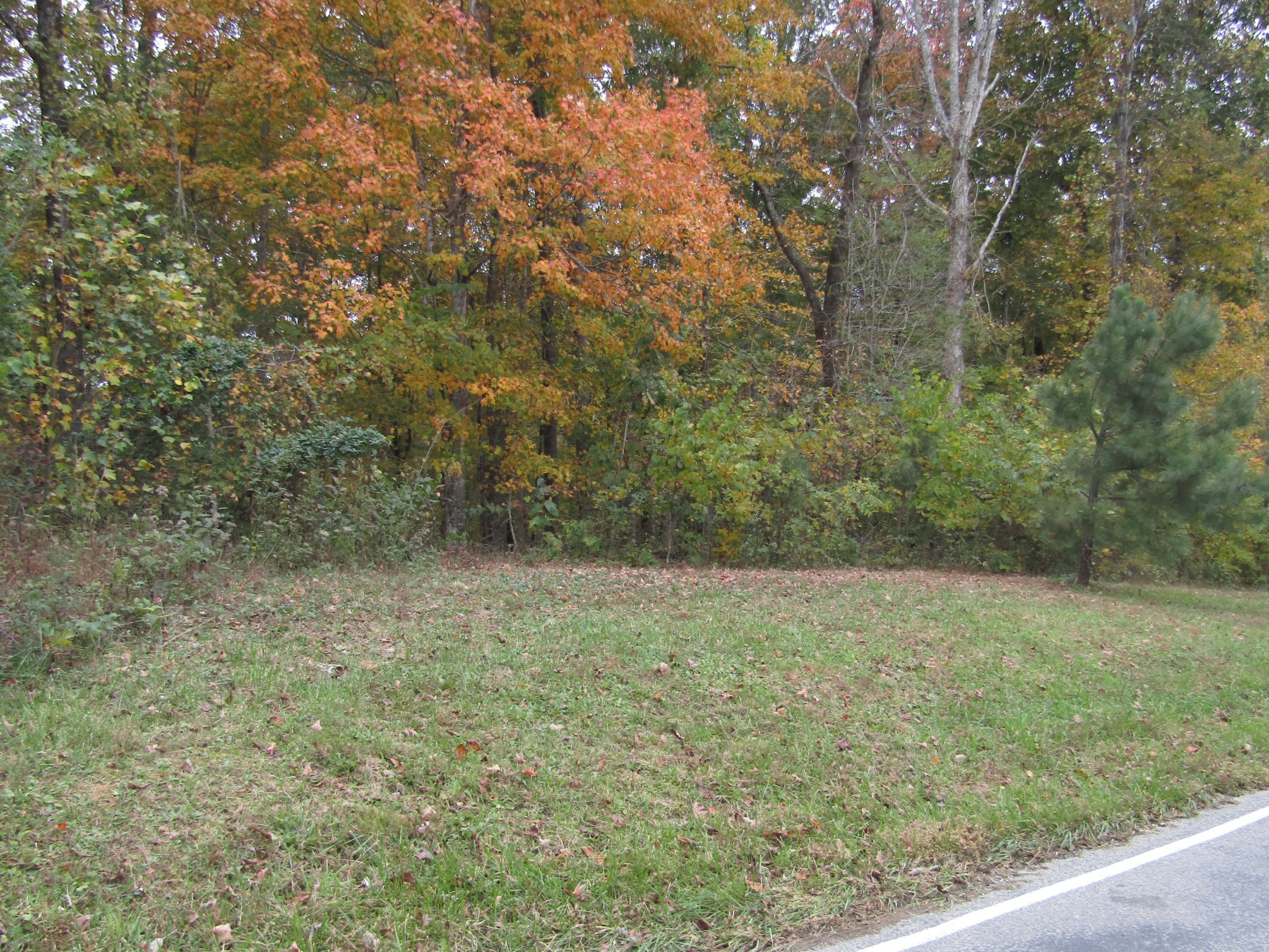 11 Turkey Town Road Hilham, TN 38568 - Photo 26 of 31 Gallery Image 26