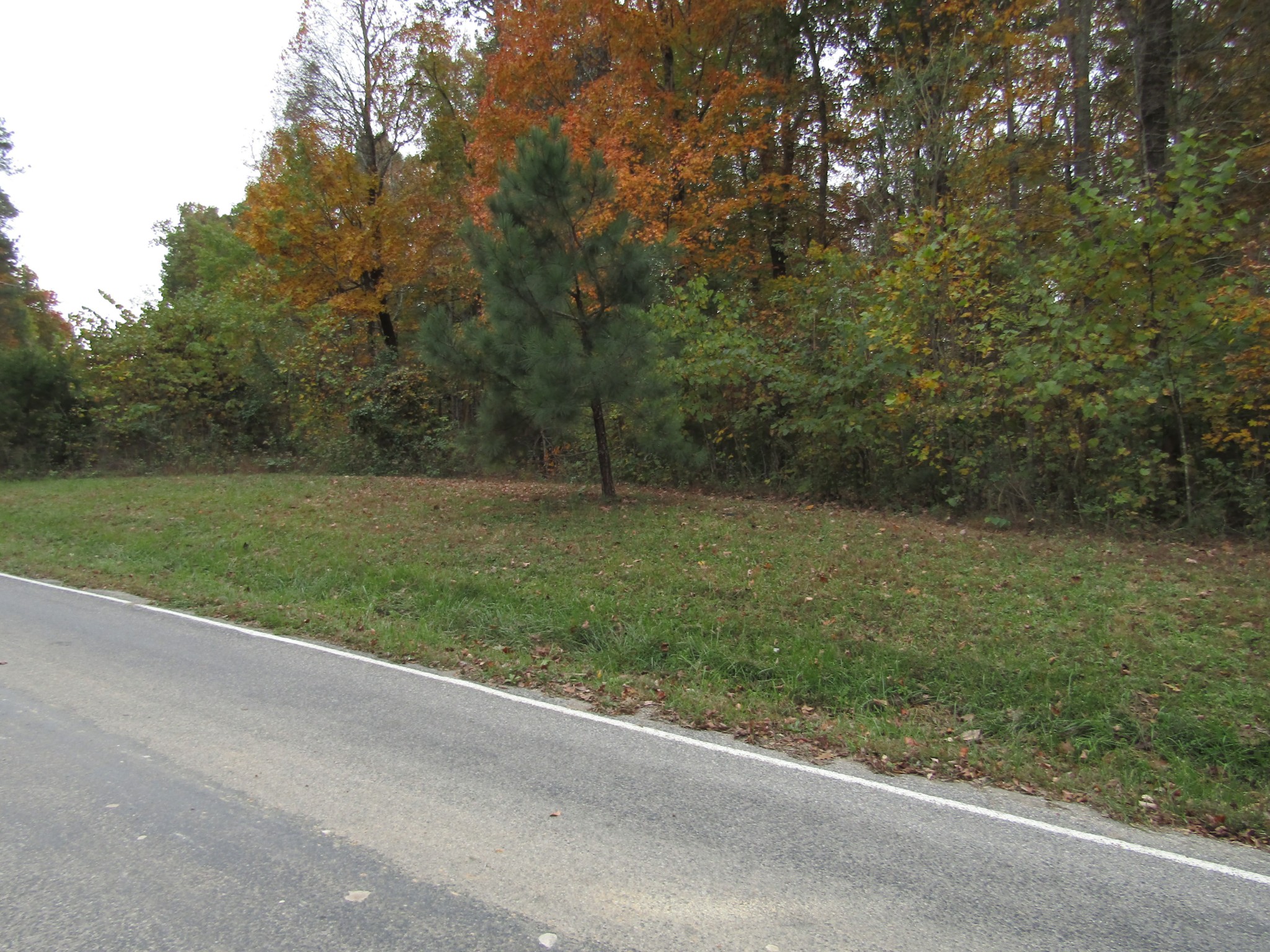 11 Turkey Town Road Hilham, TN 38568 - Photo 31 of 31 Gallery Image 31