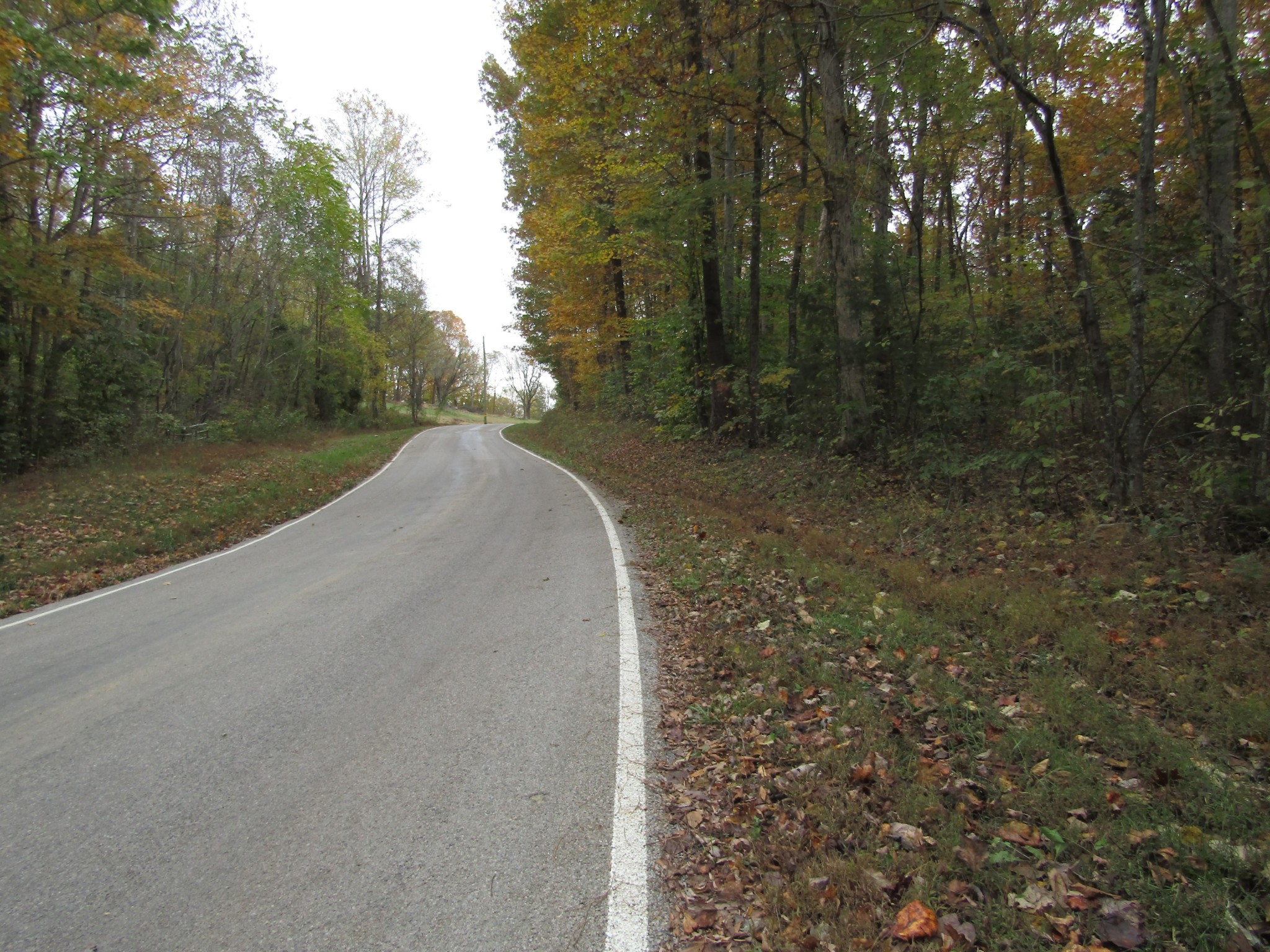 11 Turkey Town Road Hilham, TN 38568 - Photo 9 of 31 Gallery Image 9