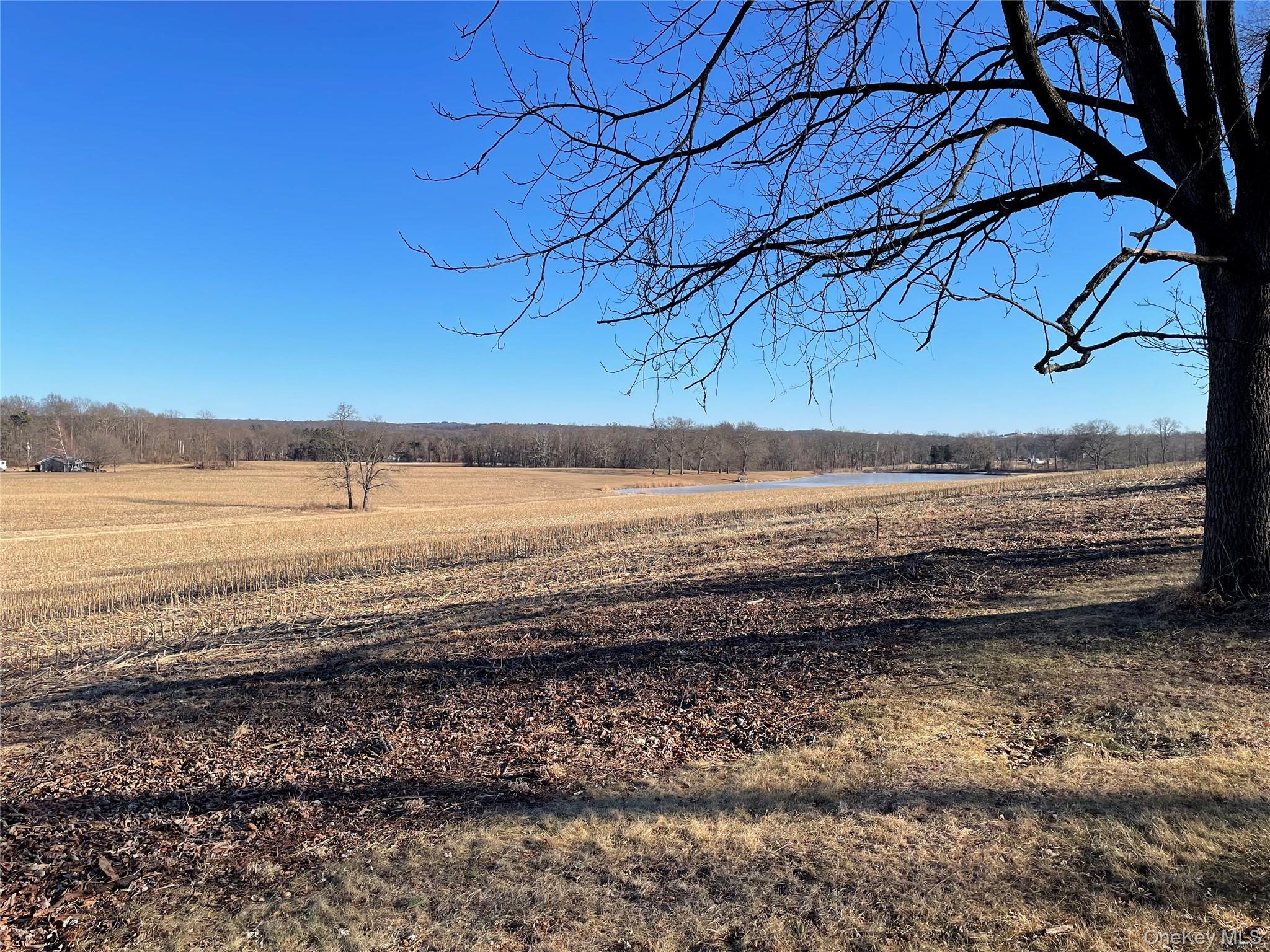 239 Rokeby Road Red Hook, NY 12572 - Photo 23 of 25