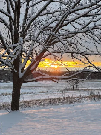a view of swimming pool