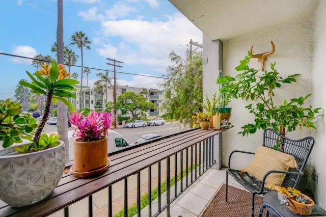 a view of a porch with a potted plant
