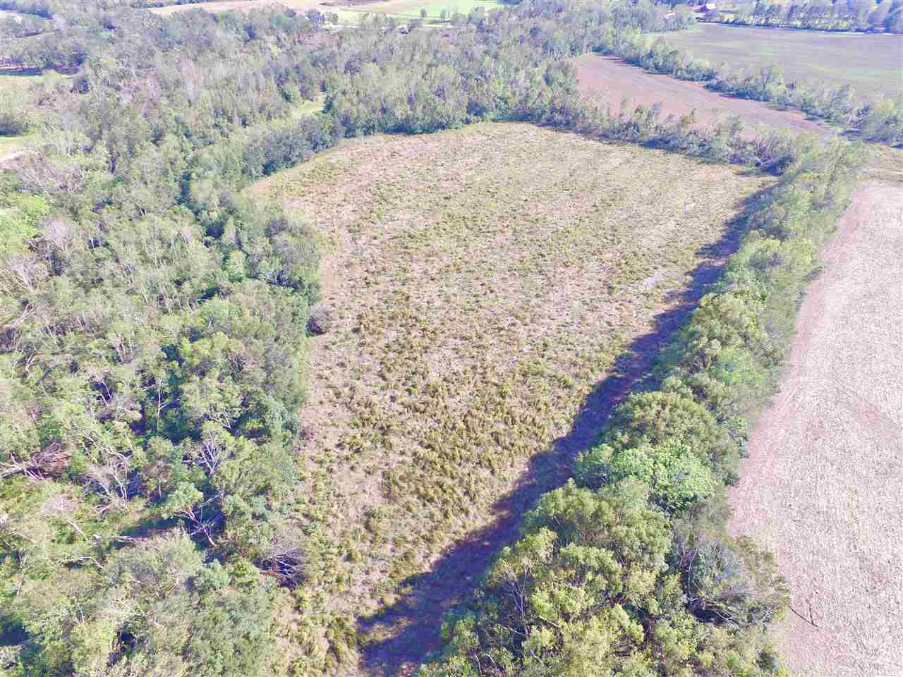 10260 County Road 32 Fairhope, AL 36532 - Photo 2 of 24