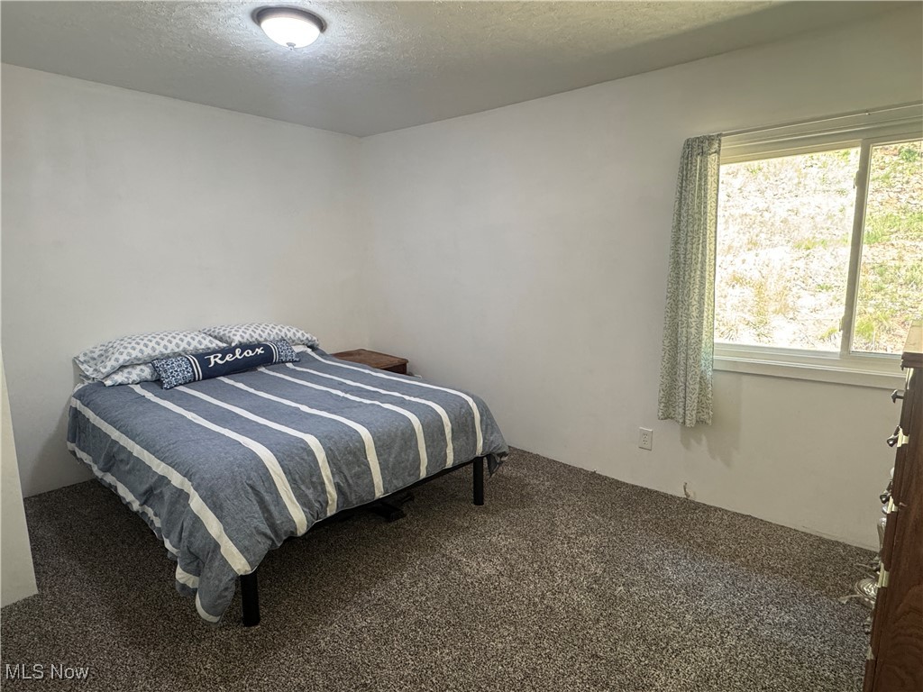 3028 Volcano Road Walker, WV 26180 - Photo 13 of 14 Gallery Image 13