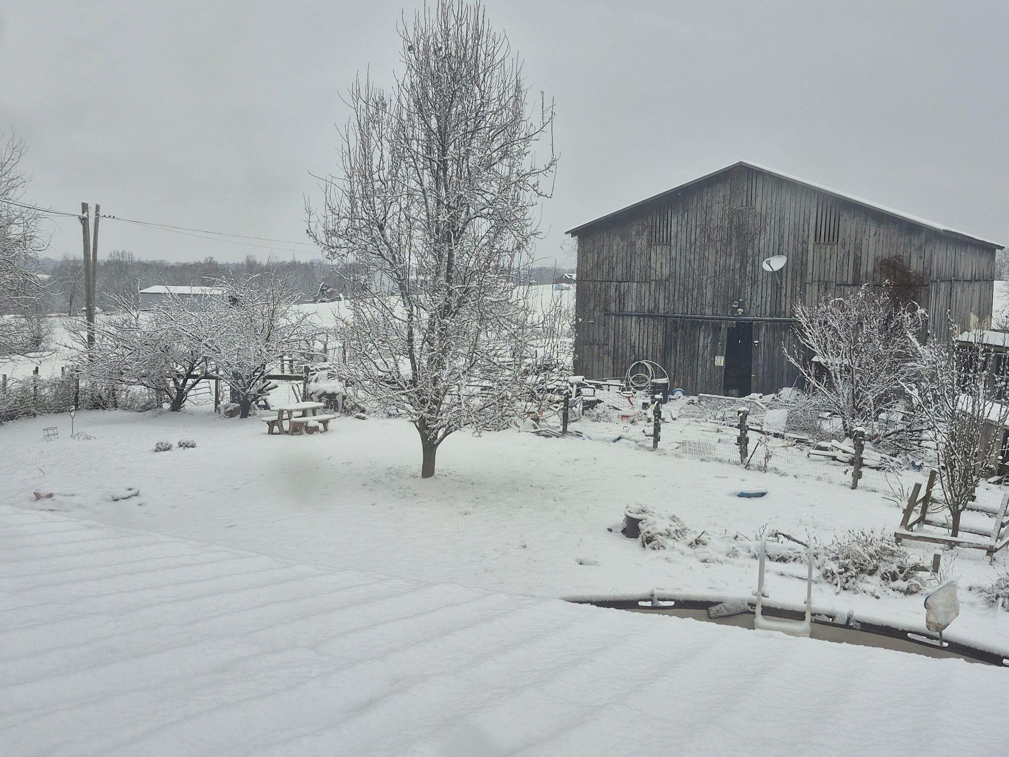 226 Watershed Road Sharpsburg, KY 40374 - Photo 3 of 40 1000012281