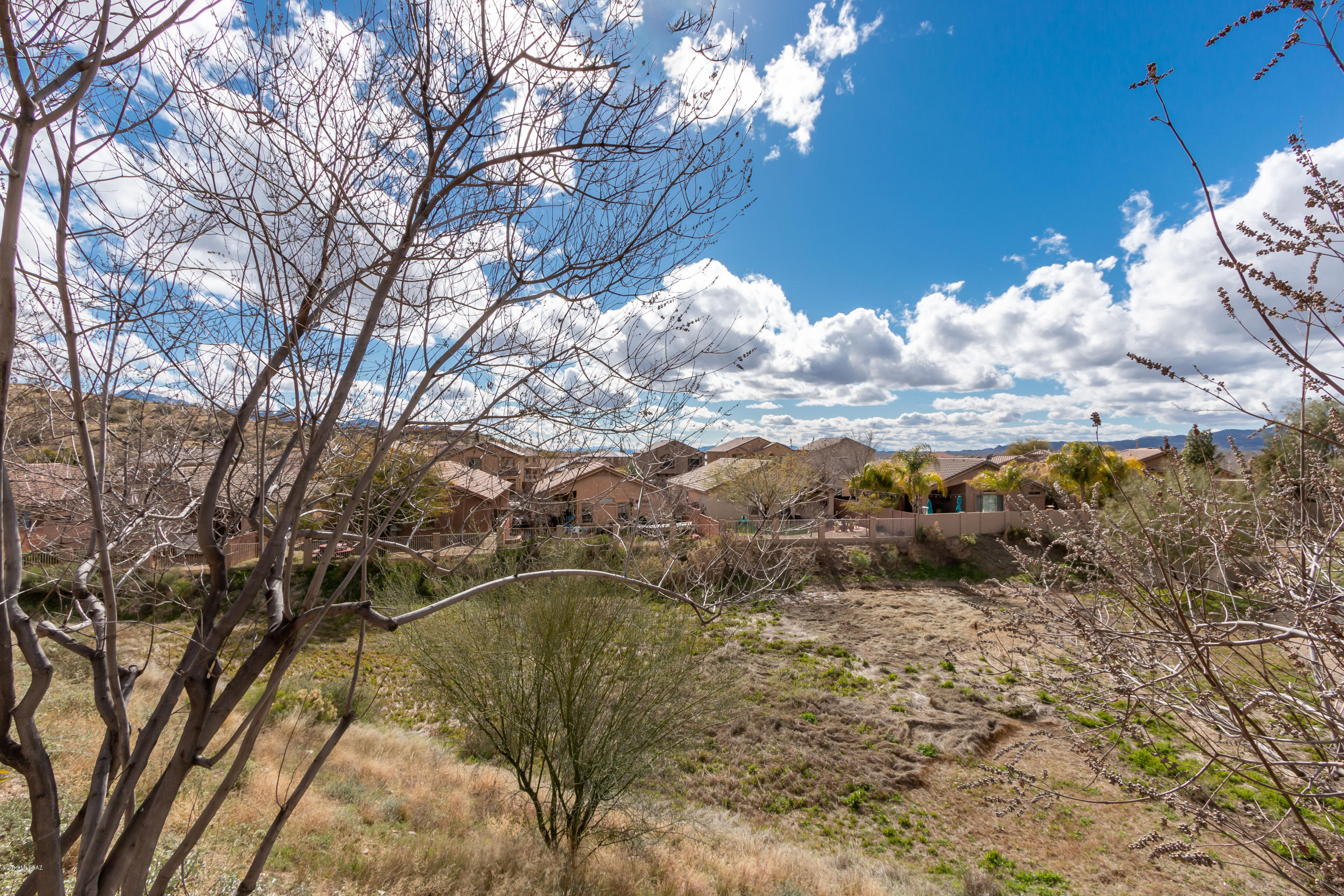 39118 Rodeo Buckle Drive Tucson, AZ 85739 - Photo 41 of 45