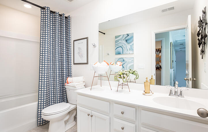 549 Red Monarch Way Moncks Corner, SC 29461 - Photo 2 of 13 Bathroom 722x460