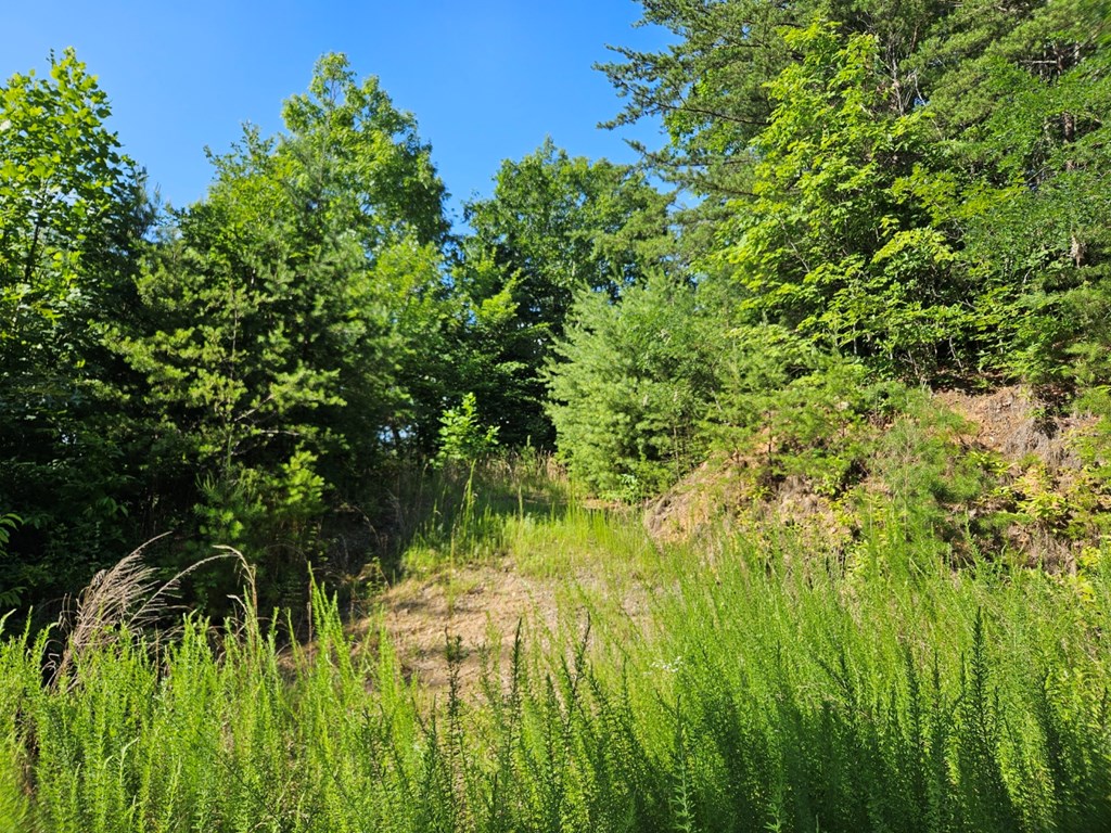 0 Loki Lane Murphy, NC 28906 - Photo 12 of 16