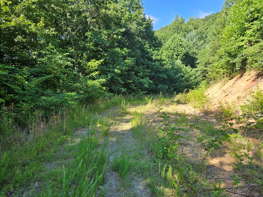 0 Loki Lane Murphy, NC 28906 - Photo 10 of 16