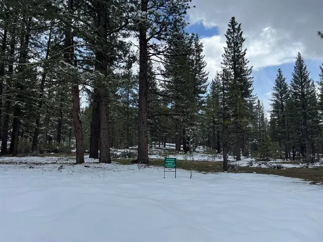 a view of outdoor space with trees