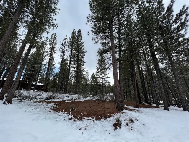 a view of outdoor space with trees