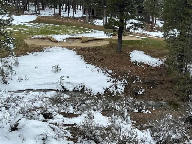 a view of a backyard with wooden fence