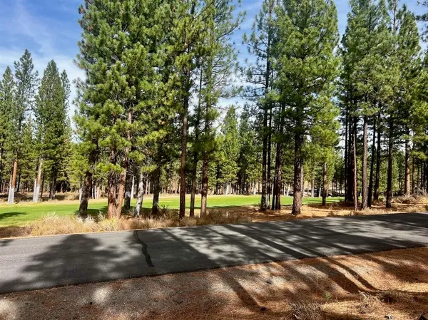 a view of road with trees