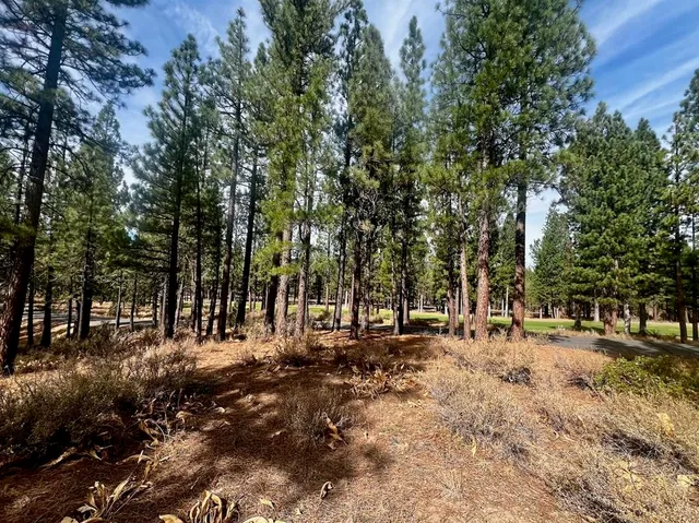a view of road with trees