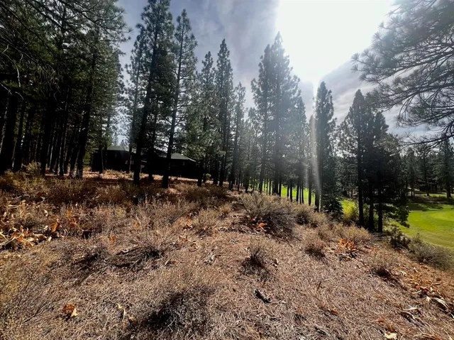 a view of outdoor space with swimming pool and trees