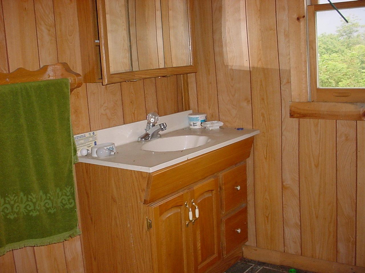 2247 Lick Ridge Road Northeast Check, VA 24072 - Photo 3 of 6 a bathroom with a sink and a mirror