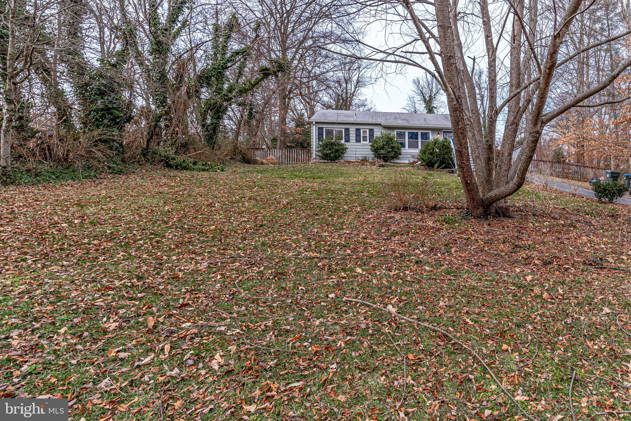 7207 Calamo Street Springfield, VA 22150 - Photo 3 of 40
