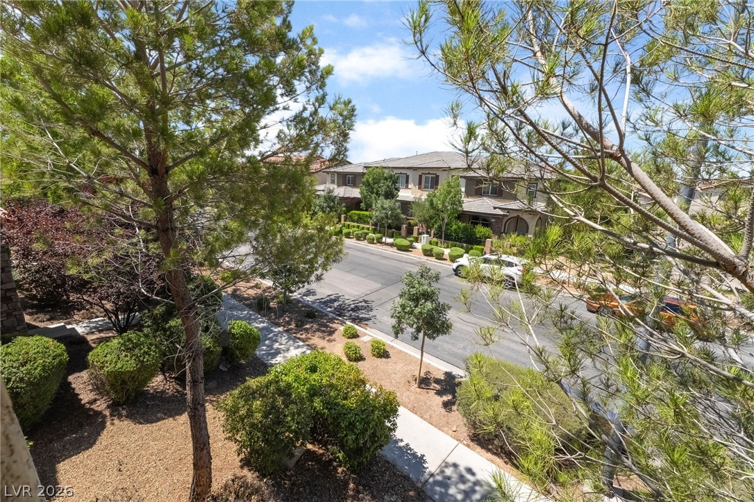 3175 Via Seranova Henderson, NV 89044 - Photo 28 of 45 This residential street view captures charming homes nestled amidst lush greenery.