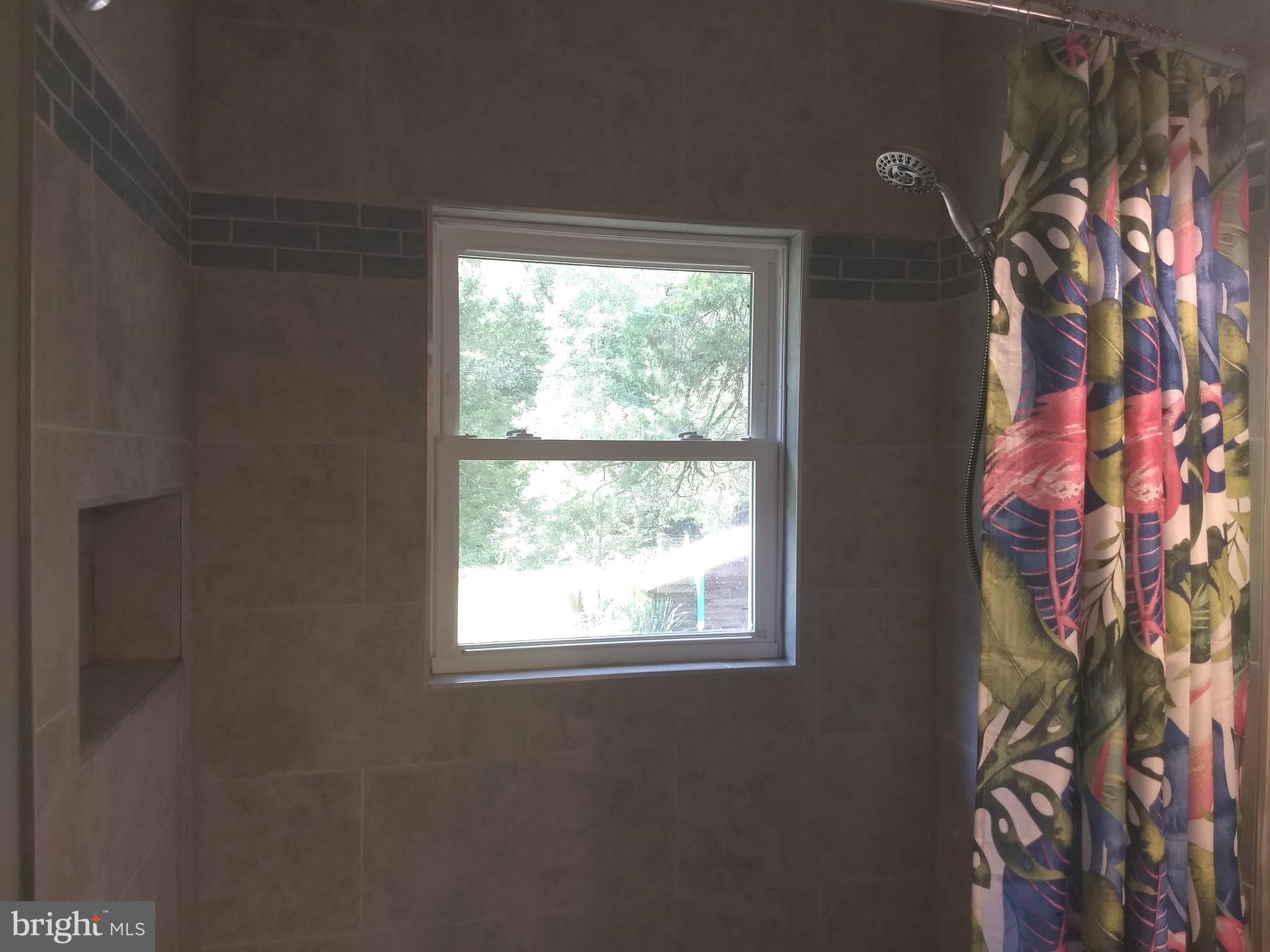 6426 Forest Grove Road Parsonsburg, MD 21849 - Photo 20 of 23 Brand new tile shower