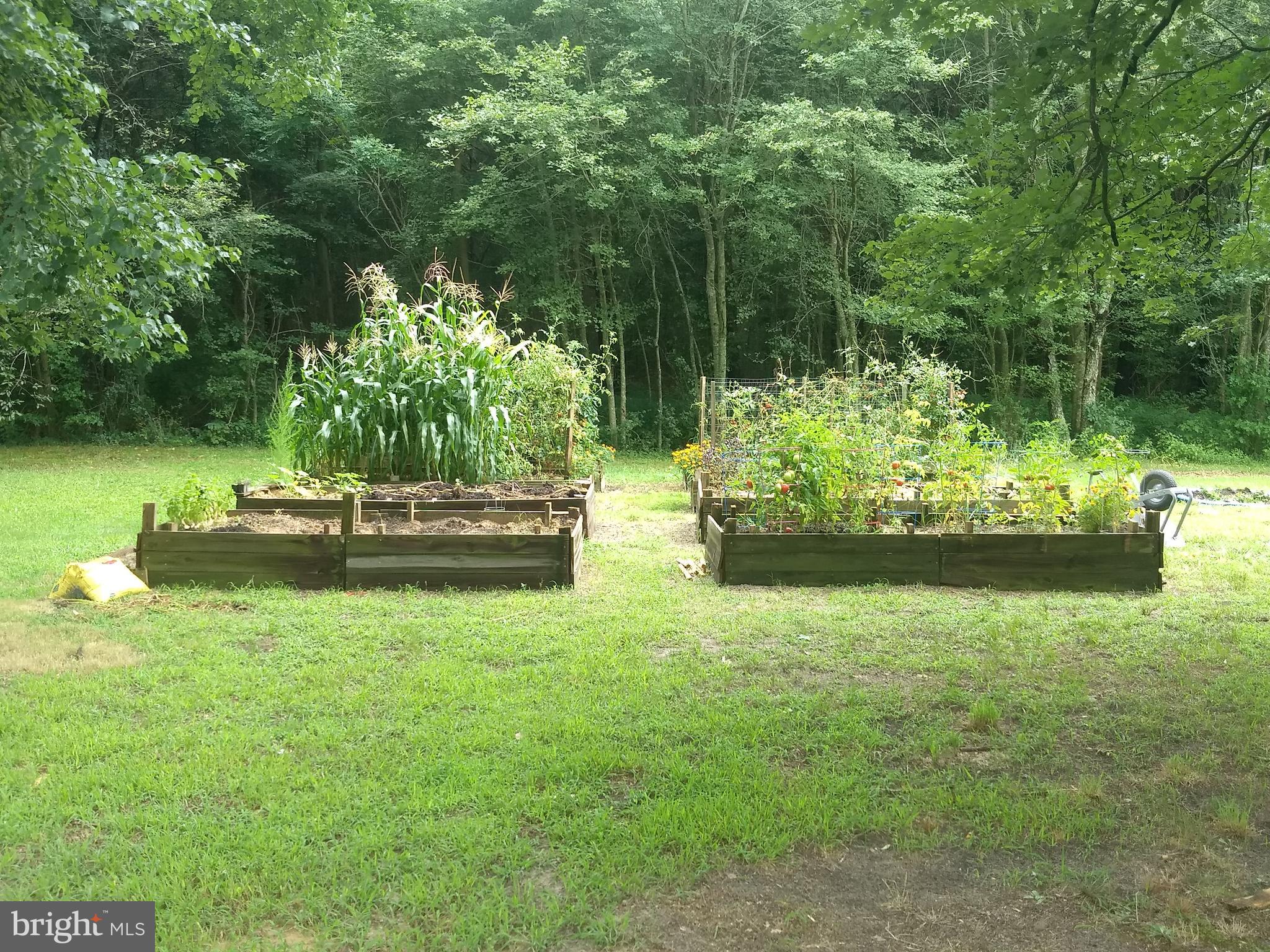 Raised garden beds, new in 2021