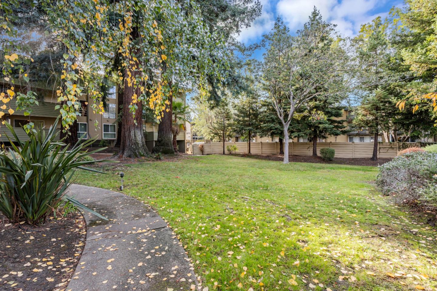 1033 Crestview Drive, Unit 309 Mountain View, CA 94040 - Photo 45 of 50 a view of a yard with a tree