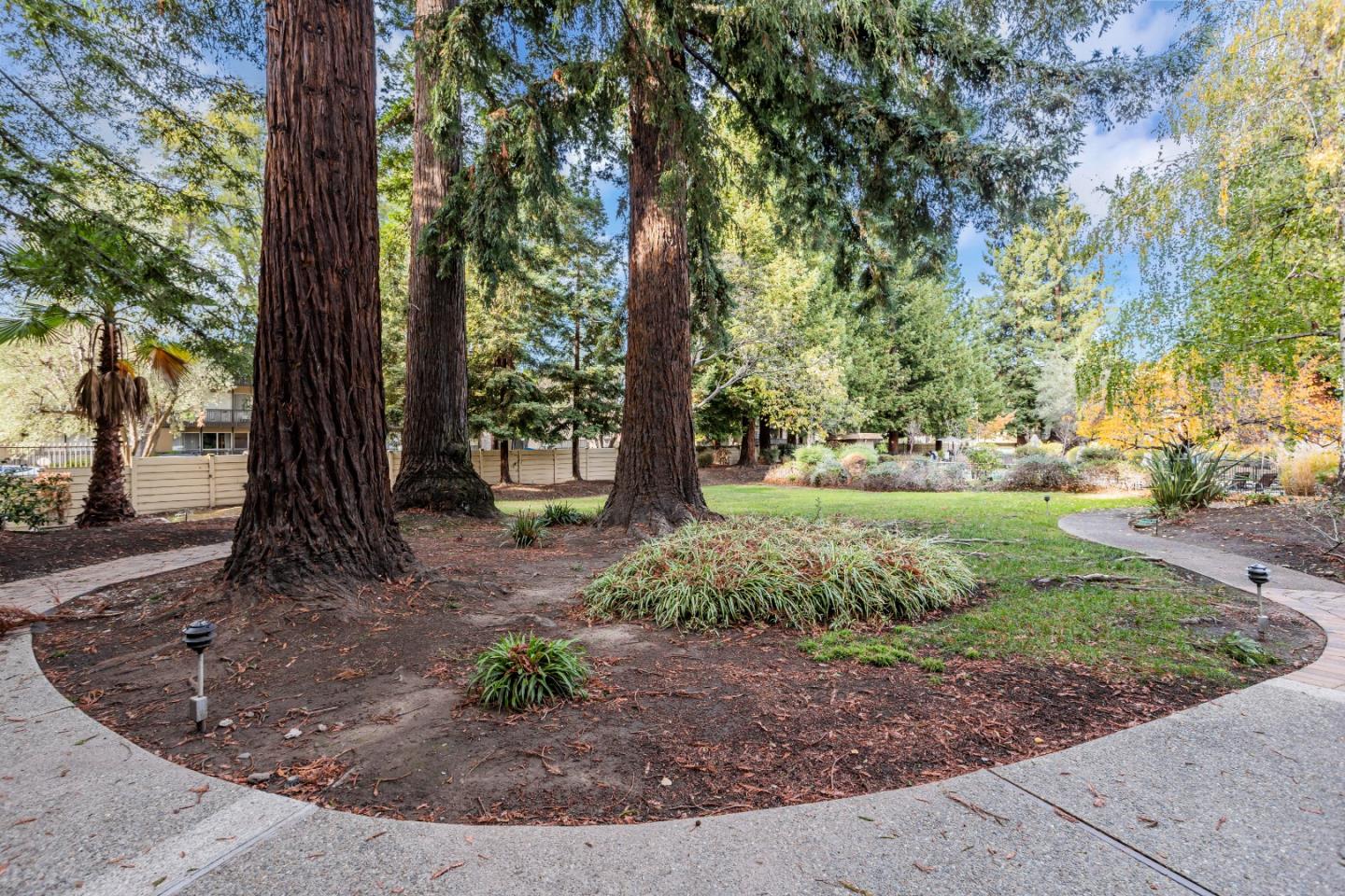 1033 Crestview Drive, Unit 309 Mountain View, CA 94040 - Photo 46 of 50 a view of a backyard with large trees