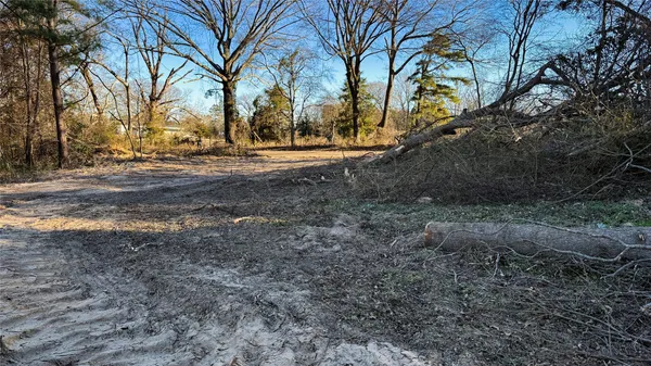 a view of yard with green space