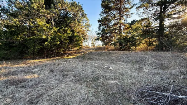 a view of outdoor space and trees
