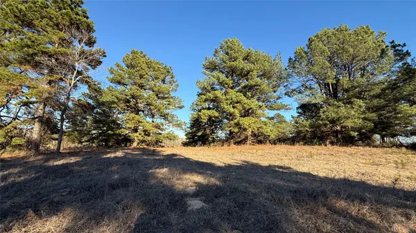 a view of a yard of a house