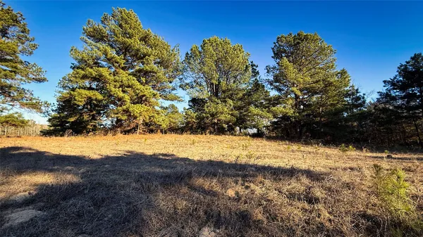 a view of yard covered with snow