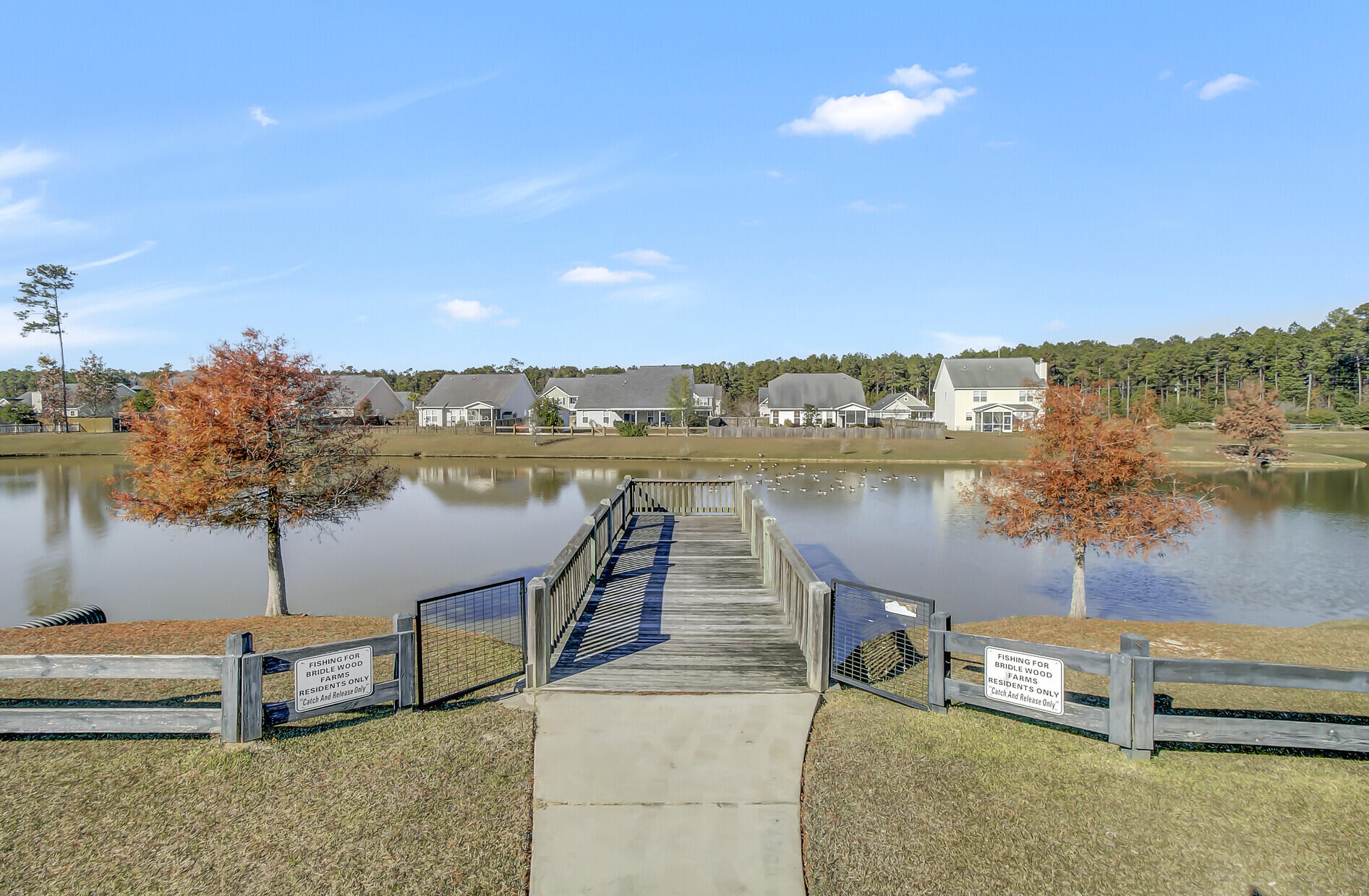 3000 Central Ring Court Ridgeville, SC 29472 - Photo 38 of 40 39_39_mls