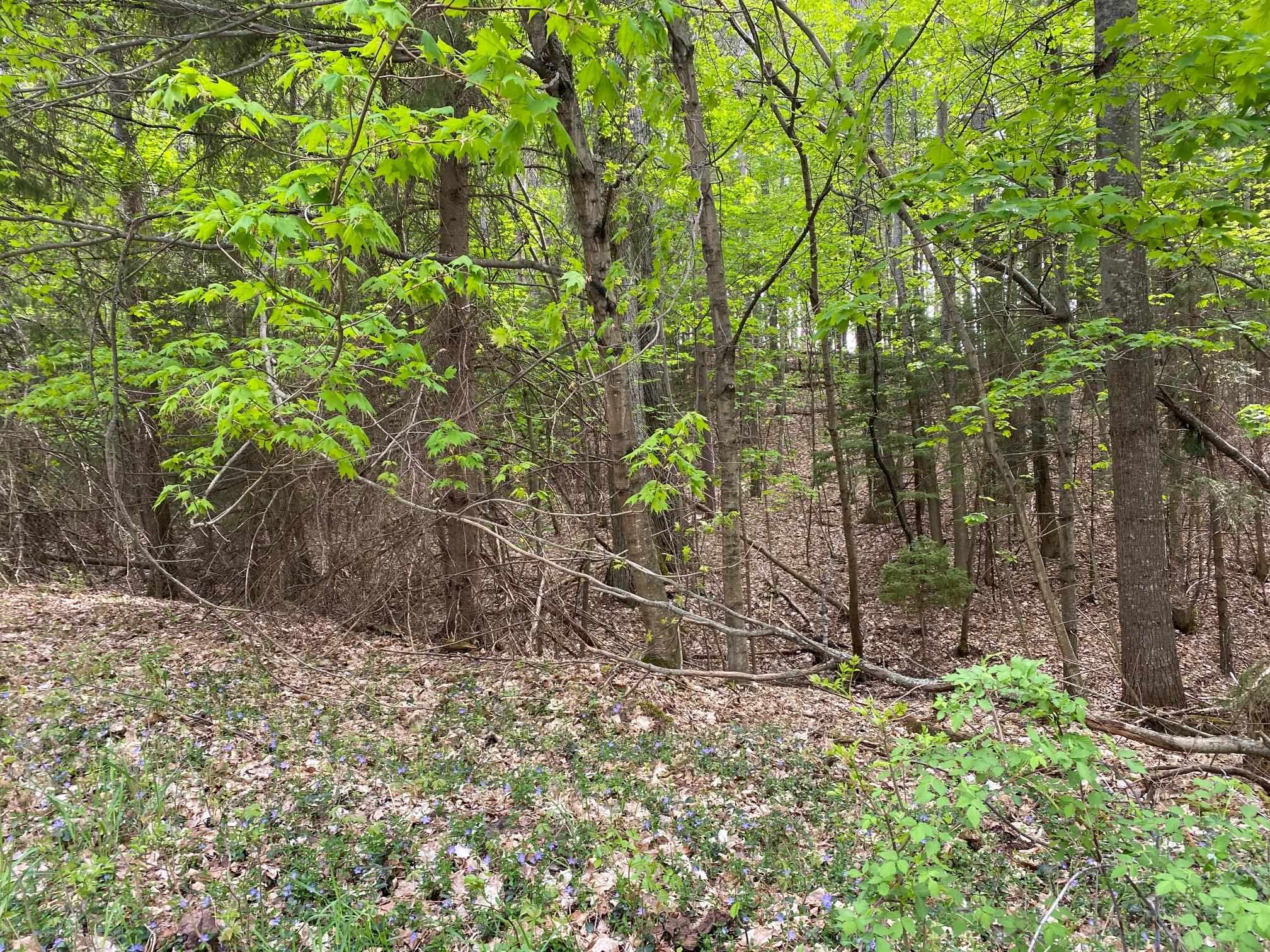 0 South Good Harbor Trail, Unit PARCEL B Cedar, MI 49621 - Photo 10 of 19